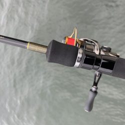 濁りがひどい中…