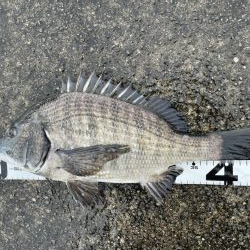 イチノ兄弟、釣果!