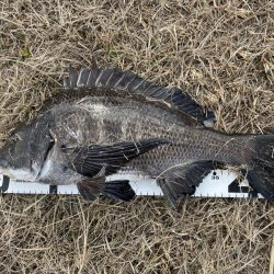 イチノ兄弟、釣果！