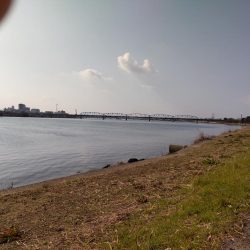 フラットフィッシュゲームNo.7？