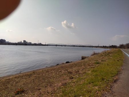 フラットフィッシュゲームNo.7？