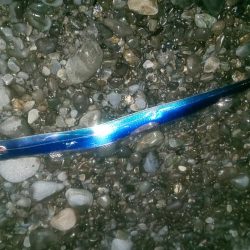 暖かさに我慢出来ず