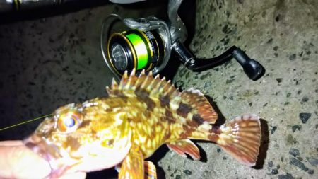 冬の根魚調査１０