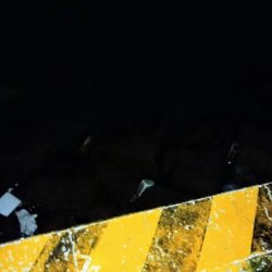 冬の根魚調査１２