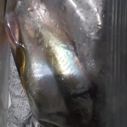 年始のフロートアジング