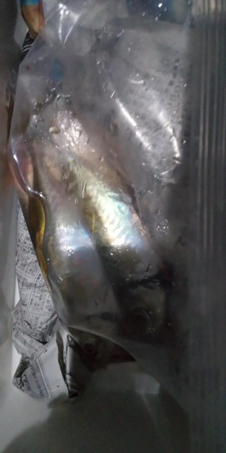 年始のフロートアジング