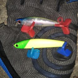 ぶらシーバス!!