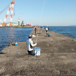 播磨新島釣行