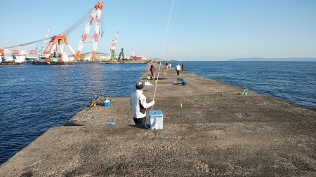 播磨新島釣行