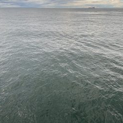 オリジナルベイト