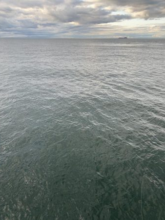 オリジナルベイト