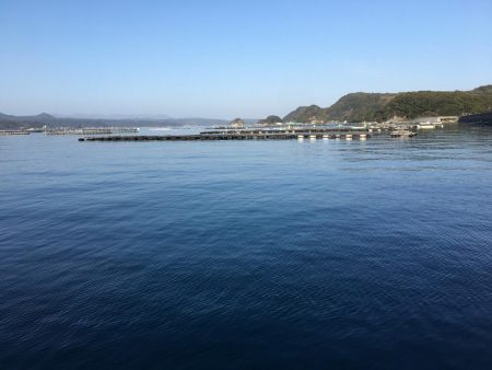 アジ61匹、アイゴ18匹、シマアジ1匹