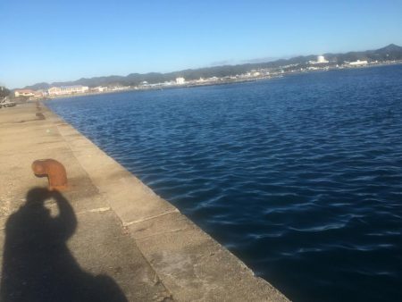 アジ爆釣り160匹、シマアジ3匹、アイゴ4匹、メッキ1匹