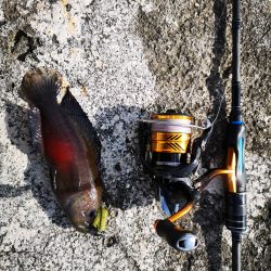 沖縄でも寒いです