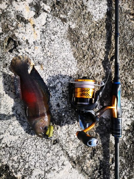 沖縄でも寒いです