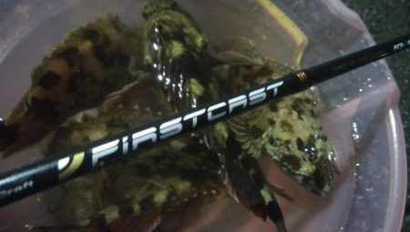 釣りデビュー　58日目