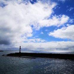 日中でも釣れました