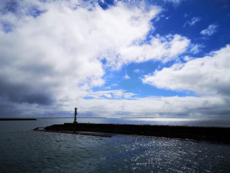 日中でも釣れました
