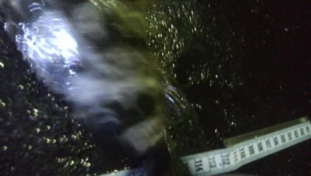 釣りデビュー　60日目