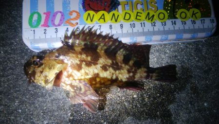 釣りデビュー 63日目