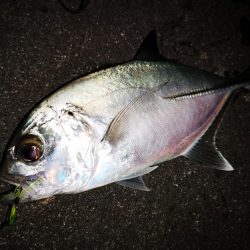 夫婦でナイター