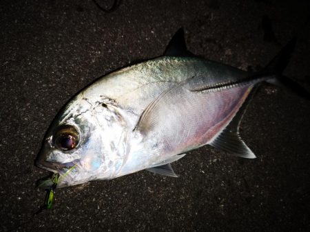 夫婦でナイター