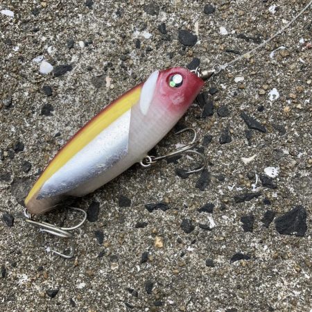 ショアでブリのRIDE ON!!