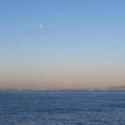 2021シーズン開幕!?