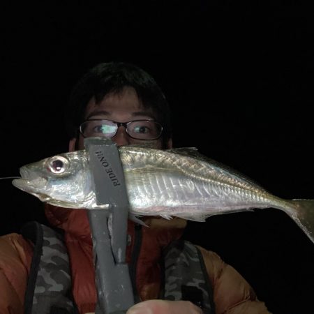 エギングからライトルアーフィッシング