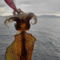 初詣(海)釣行❗