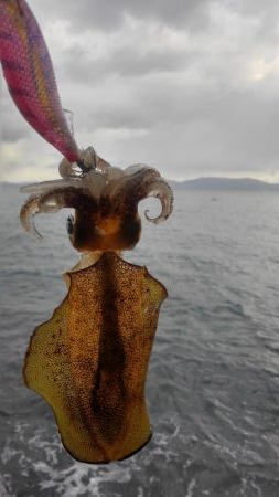 初詣(海)釣行❗