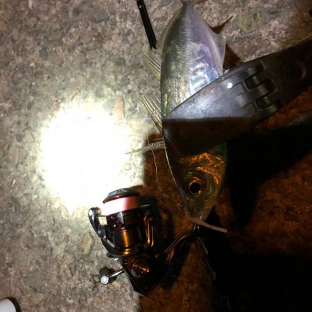 2021 佐渡ヶ島ライトゲーム