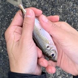 朝日を見ながら