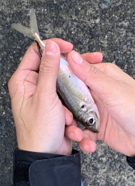 朝日を見ながら