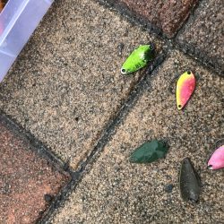 服部フィッシングパーク