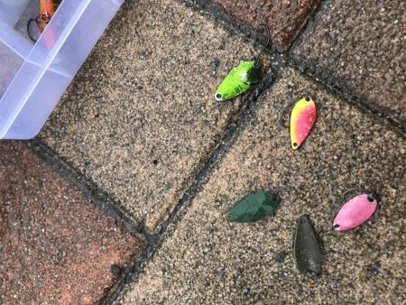 服部フィッシングパーク