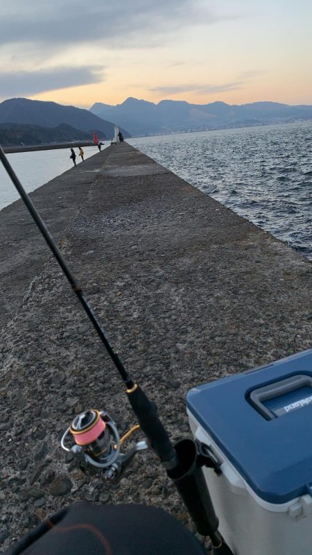 初釣りアジング　思わぬ来客