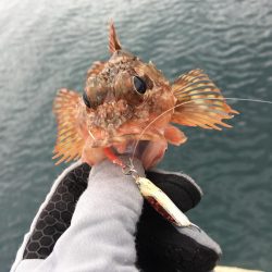 2021の初ライドオン！！