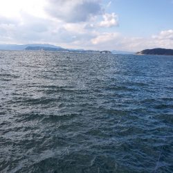 尺ガシラで年始め