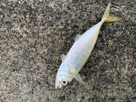 悪天候の中での釣り