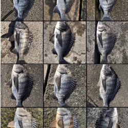 イチノ兄弟、釣果！