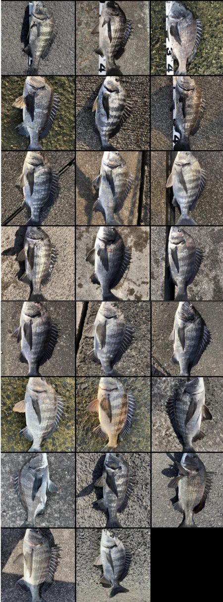 イチノ兄弟、釣果！