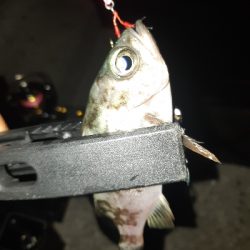 またまた仕事帰りに