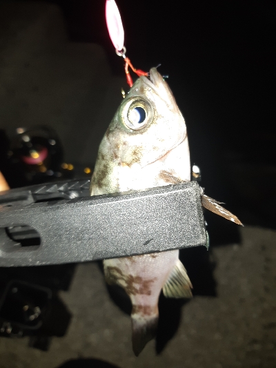 またまた仕事帰りに