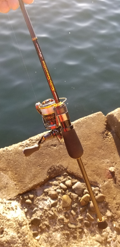 アジング　あれ？小さくなった？