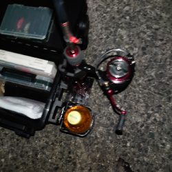 なかなかの風の中でのメバルプラッキング