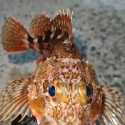 まだまだ修行が必要