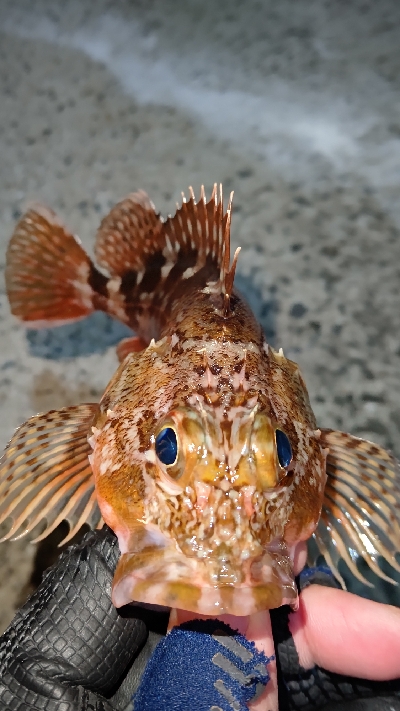 まだまだ修行が必要