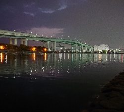 初釣りは冬の青物狙い