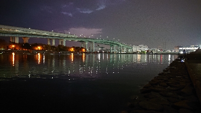 初釣りは冬の青物狙い